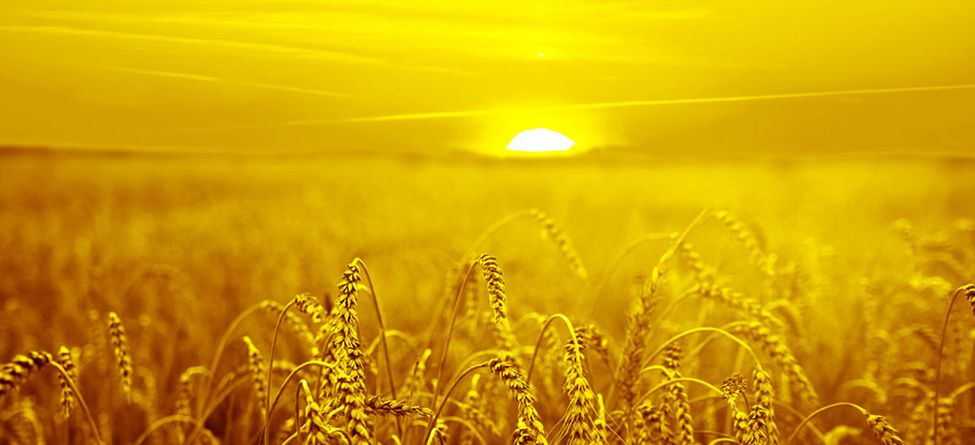 Meile meeldib pakkuda värvilahendusi